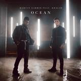 Carátula para "Ocean (featuring Khalid)" por Martin Garrix