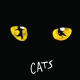Couverture pour "Memory (from Cats)" par Andrew Lloyd Webber