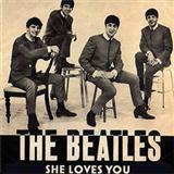 The Beatles She Loves You arte de la cubierta
