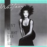Abdeckung für "Didn't We Almost Have It All" von Whitney Houston