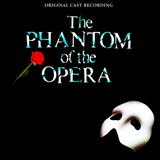 Andrew Lloyd Webber - The Music Of The Night (from The Phantom Of The Opera)