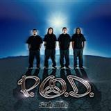 Cover Art for "Alive" by P.O.D. (Payable On Death)