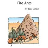 Cover Art for "Fire Ants" by Betsy Jackson