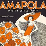 Cover Art for "Amapola (Pretty Little Poppy)" by Joseph M. Lacalle