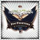 Cover Art for "Cold Day In The Sun" by Foo Fighters