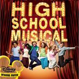 Cover Art for "Stick To The Status Quo" by High School Musical