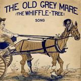 Cover Art for "The Old Gray Mare" by J. Warner
