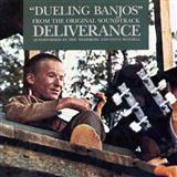 Cover Art for "Duelin' Banjos" by Eric Weissberg & Steve Mandell