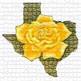 Carátula para "The Yellow Rose Of Texas" por Traditional