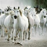 Traditional - All The Pretty Little Horses (arr. Jeffrey Douma)
