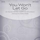 Cover Art for "You Won't Let Go" by Harold Ross