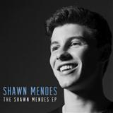 Cover Art for "Life Of The Party" by Shawn Mendes