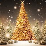 Tablature guitare We Wish You A Merry Christmas de Traditional English Folksong - Ukulele