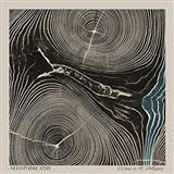 Cover Art for "Brother" by NEEDTOBREATHE