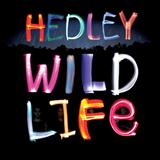 Cover Art for "Pocket Full Of Dreams" by Hedley