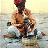 Traditional Indian - Snake Charmer
