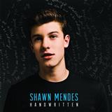 Cover Art for "Stitches" by Shawn Mendes