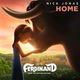 Couverture pour "Home" par Nick Jonas