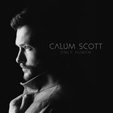 Calum Scott You Are The Reason cover kunst