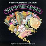 Race You To The Top Of The Morning (from The Musical: The Secret Garden) Bladmuziek