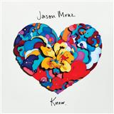 Cover Art for "More Than Friends (feat. Meghan Trainor)" by Jason Mraz