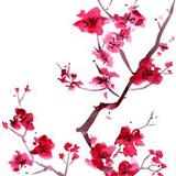 Cover Art for "Sakura (Cherry Blossoms)" by Trad. Japanese Folk Song