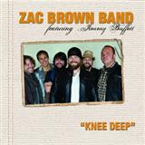 Carátula para "Knee Deep" por Zac Brown Band featuring Jimmy Buffett