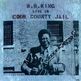Couverture pour "Every Day I Have The Blues" par B.B. King