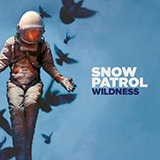 Carátula para "What If This Is All The Love You Ever Get?" por Snow Patrol