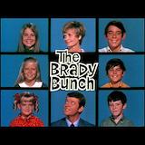Cover Art for "The Brady Bunch" by Sherwood Schwartz