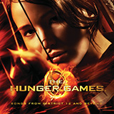Nothing To Remember (from The Hunger Games)