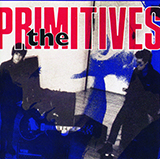 Crash (The Primitives - Lovely) Partitions