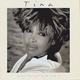 Tina Turner I Don't Wanna Fight cover art