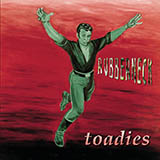 Cover Art for "Possum Kingdom" by Toadies