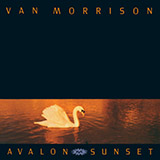 Cover Art for "Have I Told You Lately" by Van Morrison