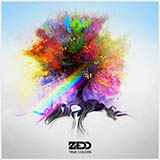 Couverture pour "Beautiful Now" par Zedd