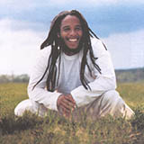 Cover Art for "Power To Move Ya" by Ziggy Marley